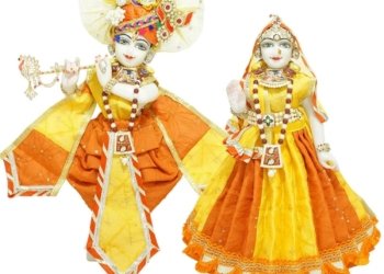 Festival Special Dresses